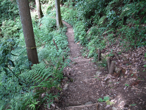 20171005hike (178)